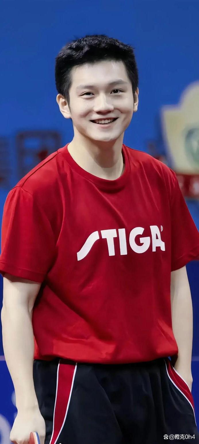 包含超越传奇!樊振东在游泳赛事中写下全新篇章的词条